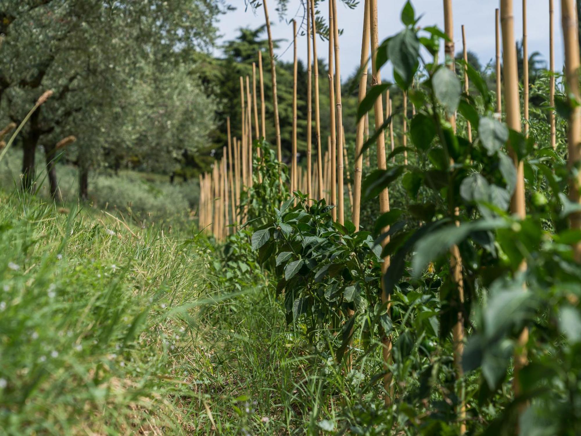 Ca Toresele Relais Osteria Garden Verona Eksteriør billede